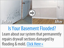 Everlast Wall System